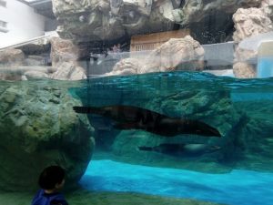 京都水族館怪獣ゾーン